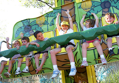 jungle bounce