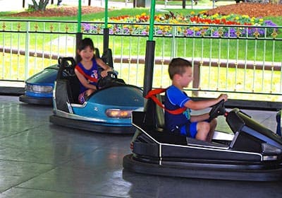 mini skooter