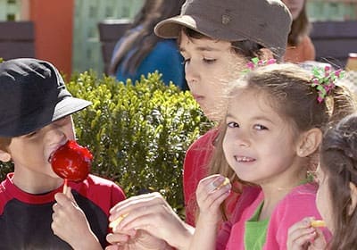 Niños en el parque