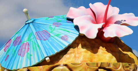 Tropical decorations