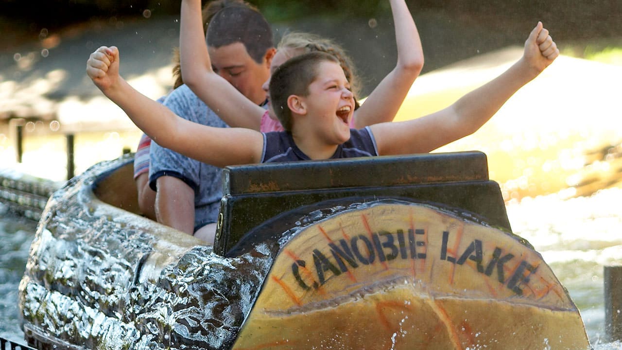 Policy Pond Log Flume