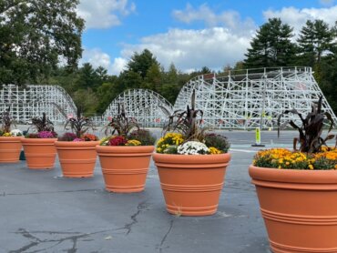 Large flower pots in front of white wooden coaster